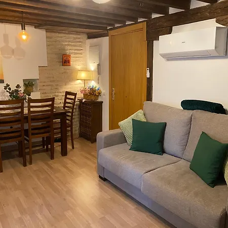 Domus Alfileritos 公寓 托萊多