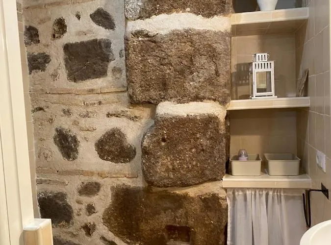 Domus Alfileritos 公寓 *