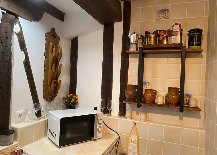 Domus Alfileritos 公寓 托萊多