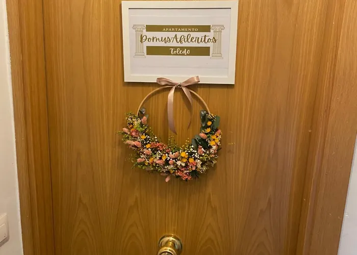 Domus Alfileritos 公寓